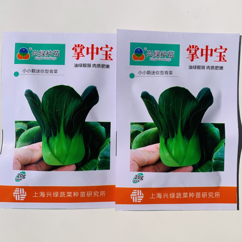 掌中宝小青仔种子上海小青菜种子油绿矮脚迷你型青梗菜种子