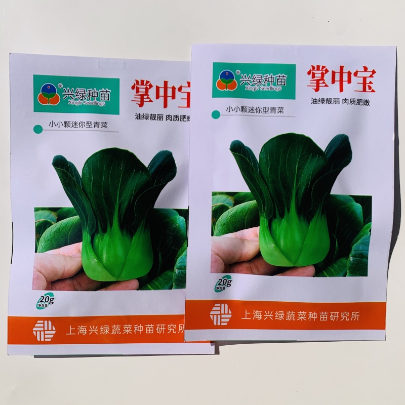 掌中宝小青仔种子上海小青菜种子油绿矮脚迷你型青梗菜种子