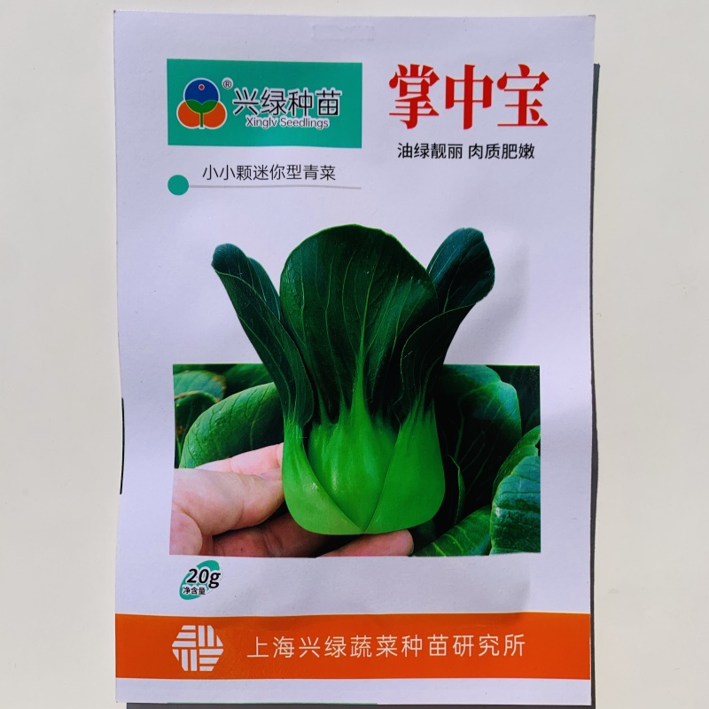掌中宝小青仔种子上海小青菜种子油绿矮脚迷你型青梗菜种子
