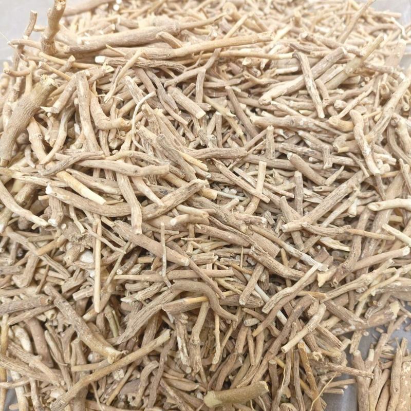 南非醉茄