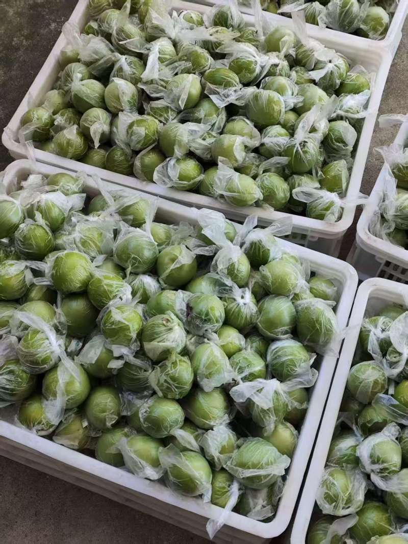 牛奶枣苹果枣，全国发货，诚信经营，可视频看货，量大从优