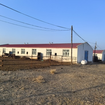乌鲁木齐市乌鲁木齐县养殖场，面积50亩