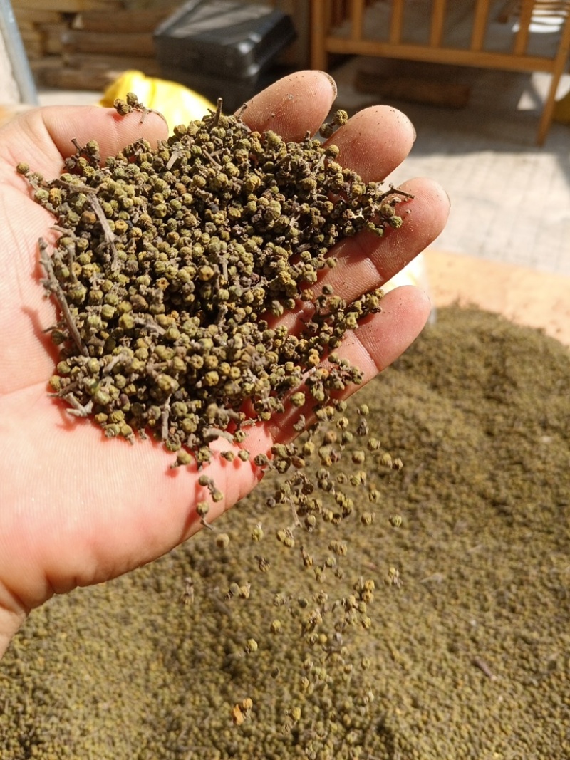 吴茱萸无硫高质量吴茱萸小花中花纯净货规格齐全批发
