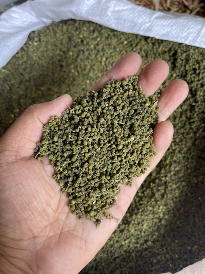 吴茱萸无硫高质量吴茱萸小花中花纯净货规格齐全批发