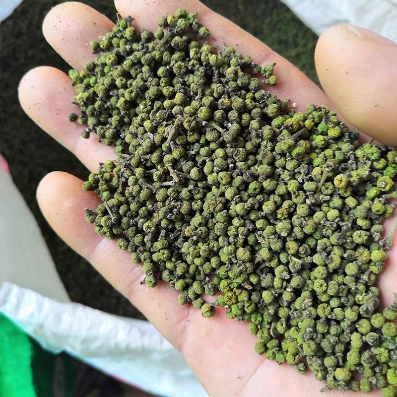 吴茱萸无硫高质量吴茱萸小花中花纯净货规格齐全批发