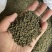 吴茱萸无硫高质量吴茱萸小花中花纯净货规格齐全批发