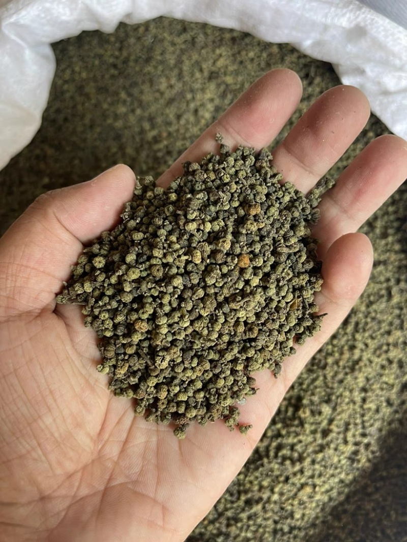 吴茱萸无硫高质量吴茱萸小花中花纯净货规格齐全批发