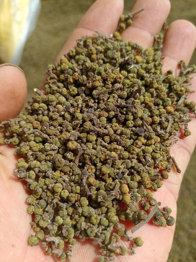 吴茱萸无硫高质量吴茱萸小花中花纯净货规格齐全批发