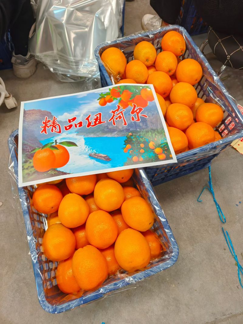 《精品》纽荷尔脐橙口感纯甜无酸化渣，应季水果，欢迎咨询