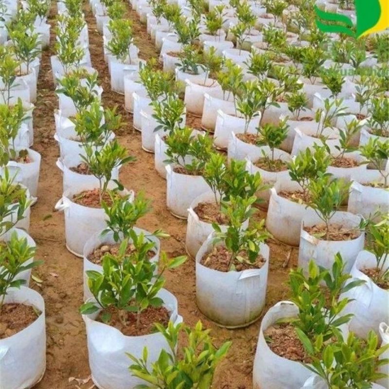 植树袋无纺布加厚美植袋批发多规格植树育苗袋