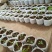 植树袋无纺布加厚美植袋批发多规格植树育苗袋