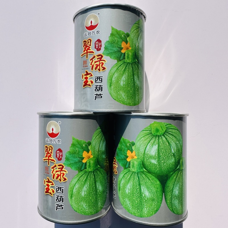 翠绿宝西葫芦种子高档无蔓圆形西葫芦种籽产量高瓜色油亮元宝