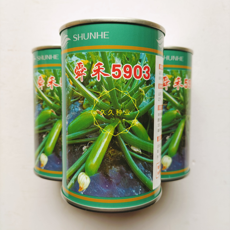 舜禾5903西葫芦种子油绿顺直高产耐热抗病商品性好