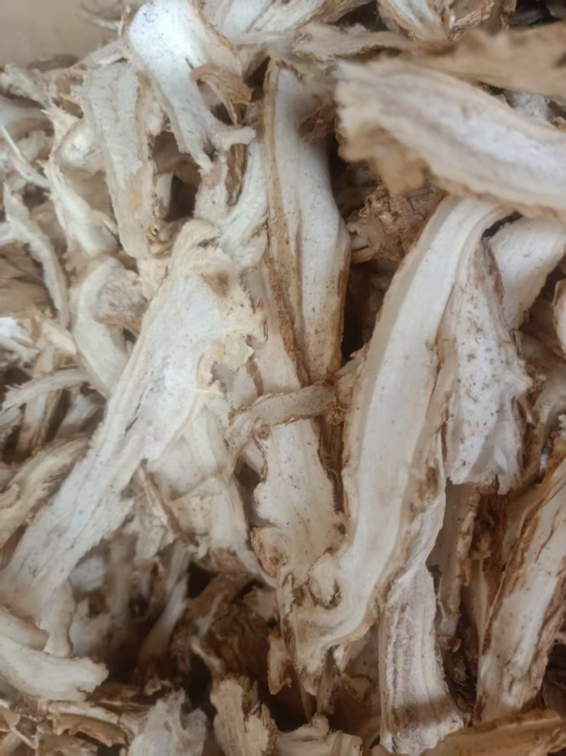 甘肃独活切片，独活头片