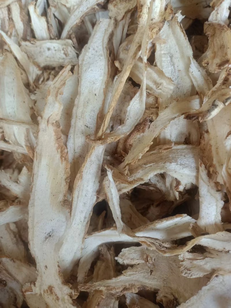 甘肃独活切片，独活头片