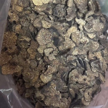 云南松露干片