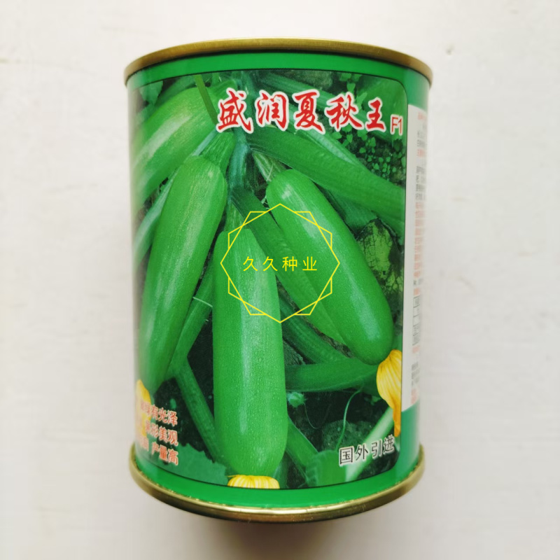 盛润夏秋王西葫芦种子进口引进耐湿热翠绿抗病露地专用西葫芦