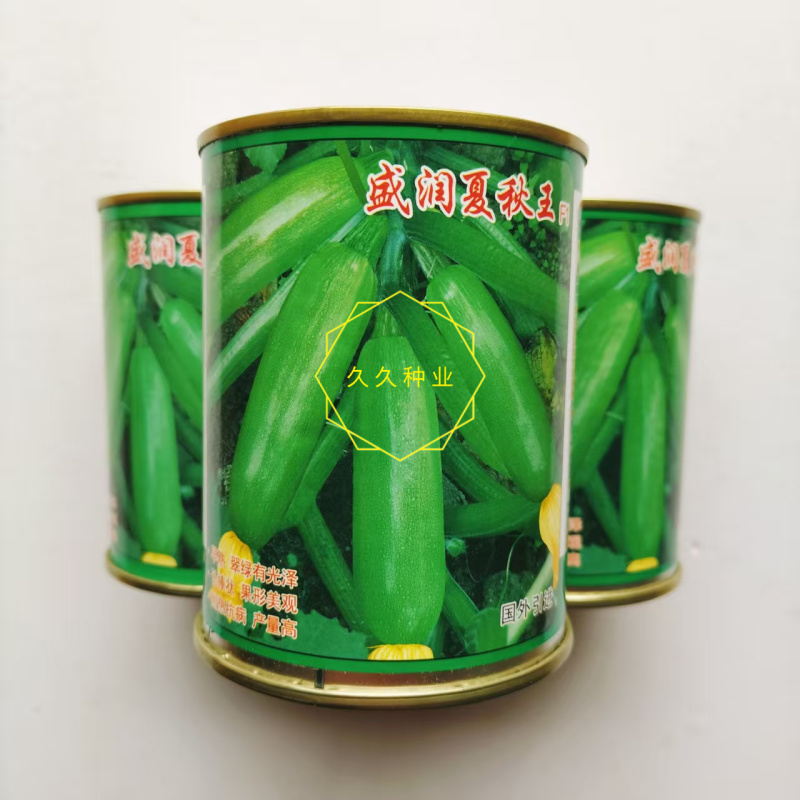 盛润夏秋王西葫芦种子进口引进耐湿热翠绿抗病露地专用西葫芦