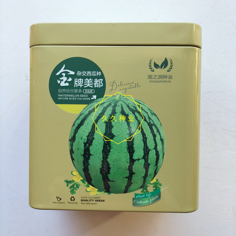 金牌美都西瓜种子红瓤耐裂超甜西瓜种子薄皮耐运输抗病美都西