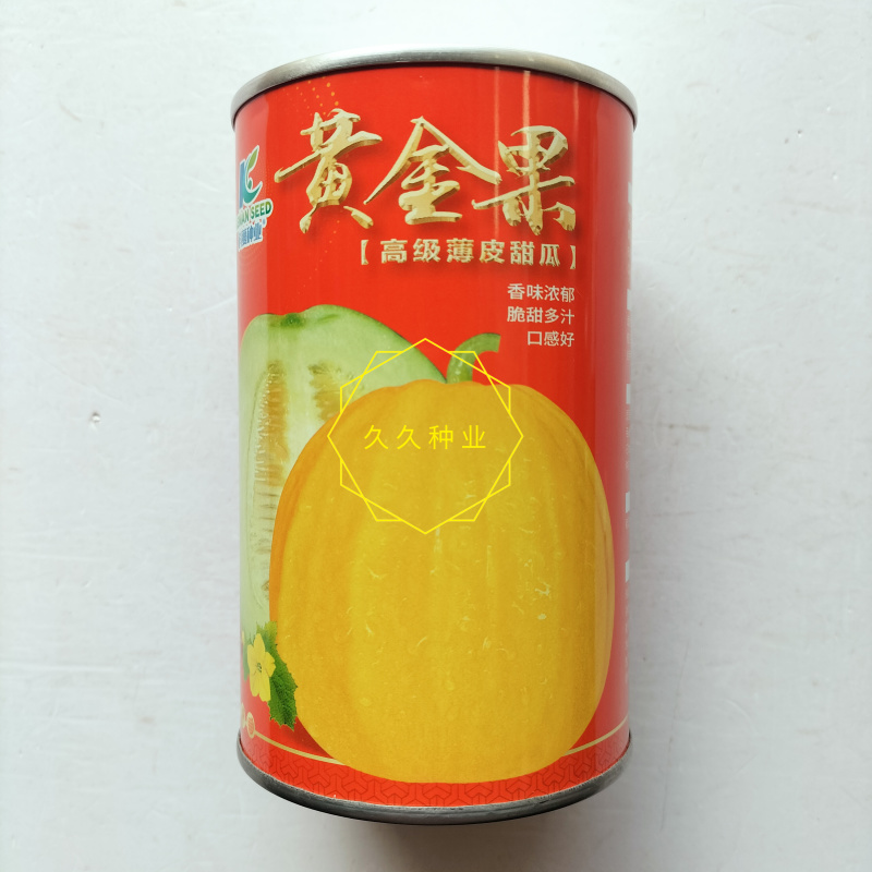 黄金果丑八怪甜瓜种子高圆薄皮脆甜黄皮香瓜种子抗病高产