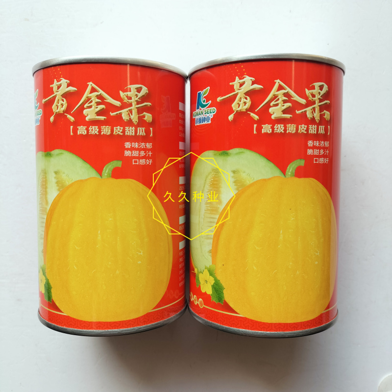 黄金果丑八怪甜瓜种子高圆薄皮脆甜黄皮香瓜种子抗病高产