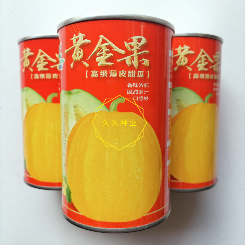 黄金果丑八怪甜瓜种子高圆薄皮脆甜黄皮香瓜种子抗病高产