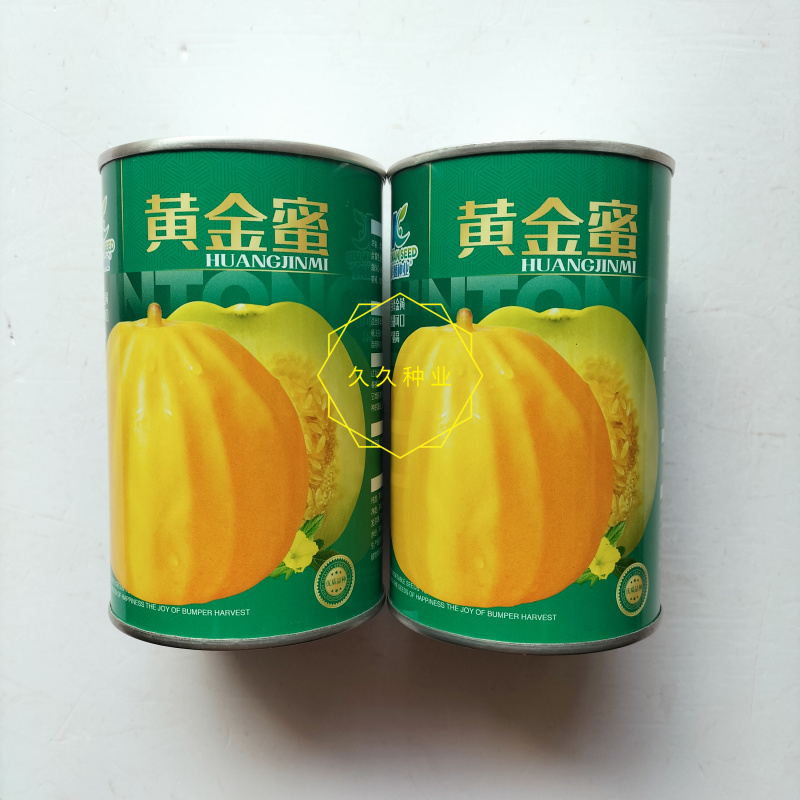 黄金蜜丑八怪甜瓜种子早熟高圆薄皮脆甜绿肉金黄皮抗病高产春