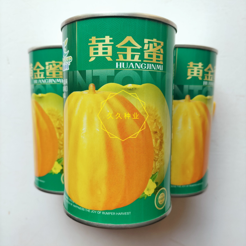 黄金蜜丑八怪甜瓜种子早熟高圆薄皮脆甜绿肉金黄皮抗病高产春