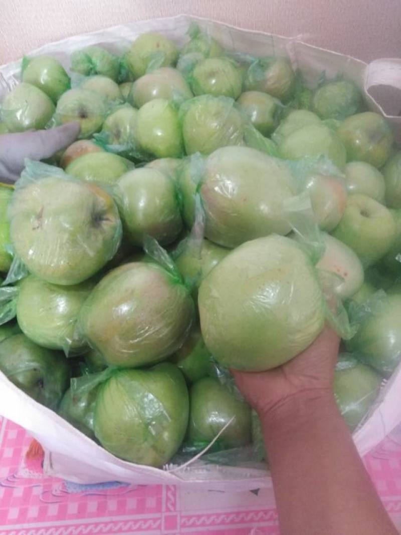 自家产的青苹果🍏