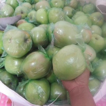 自家产印度青苹果🍏90mm左右的