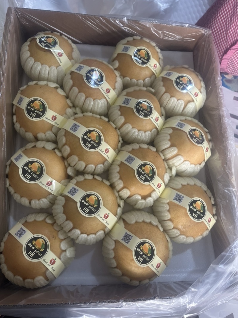 丰水梨现货供货十足周期长提供找货装车服务