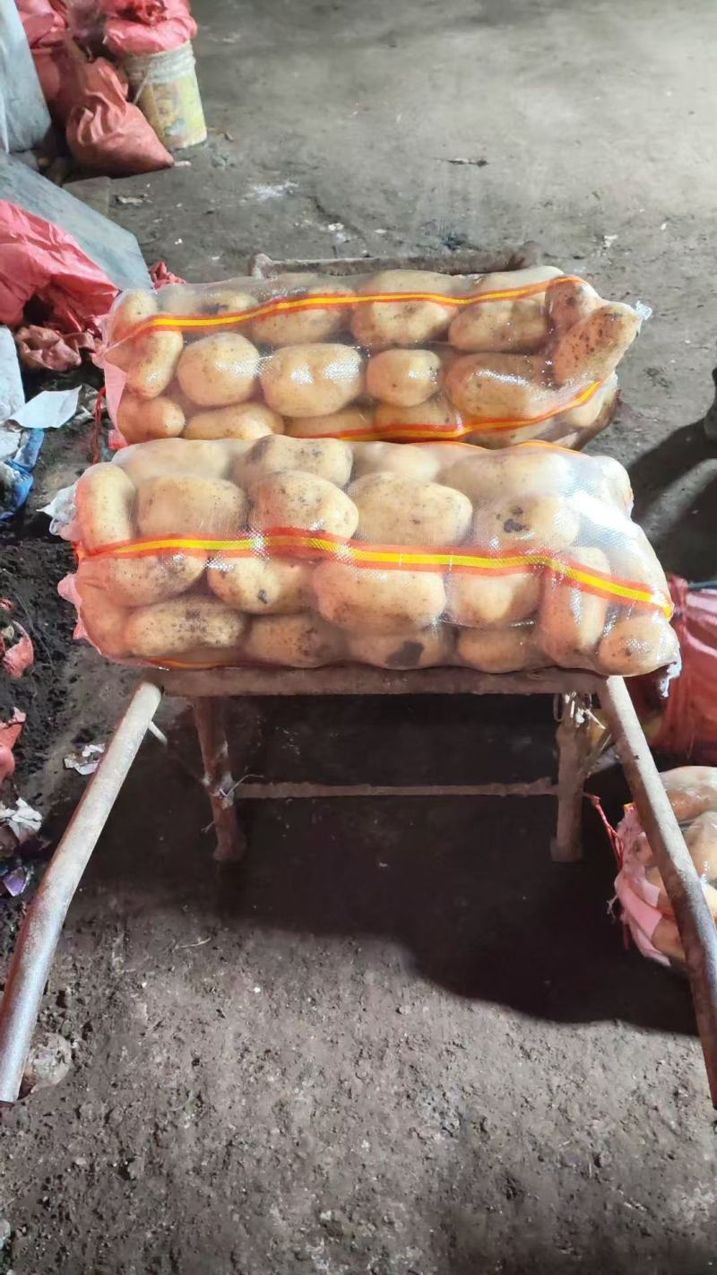 干洗黄心大量有货，产地一手货源对接市场电商平台，视频看货