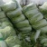 精品黄心大白菜，千亩基地，价格美丽，产地直发，信誉商家，