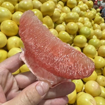 平和琯溪红三红柚