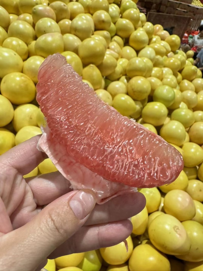 平和琯溪红三红柚