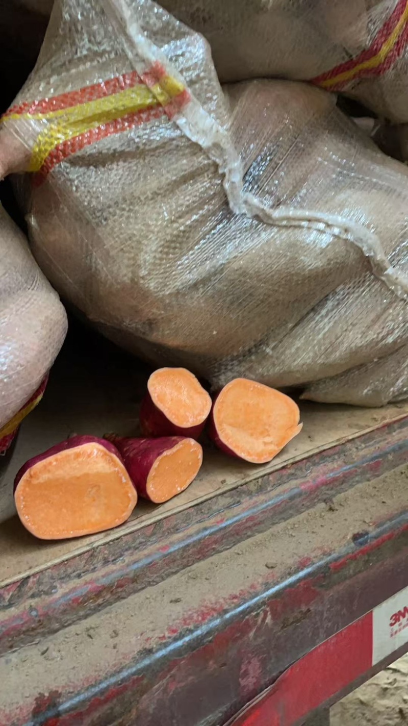 开封沙地西瓜红蜜薯产地直发欢迎联系大吨位供应