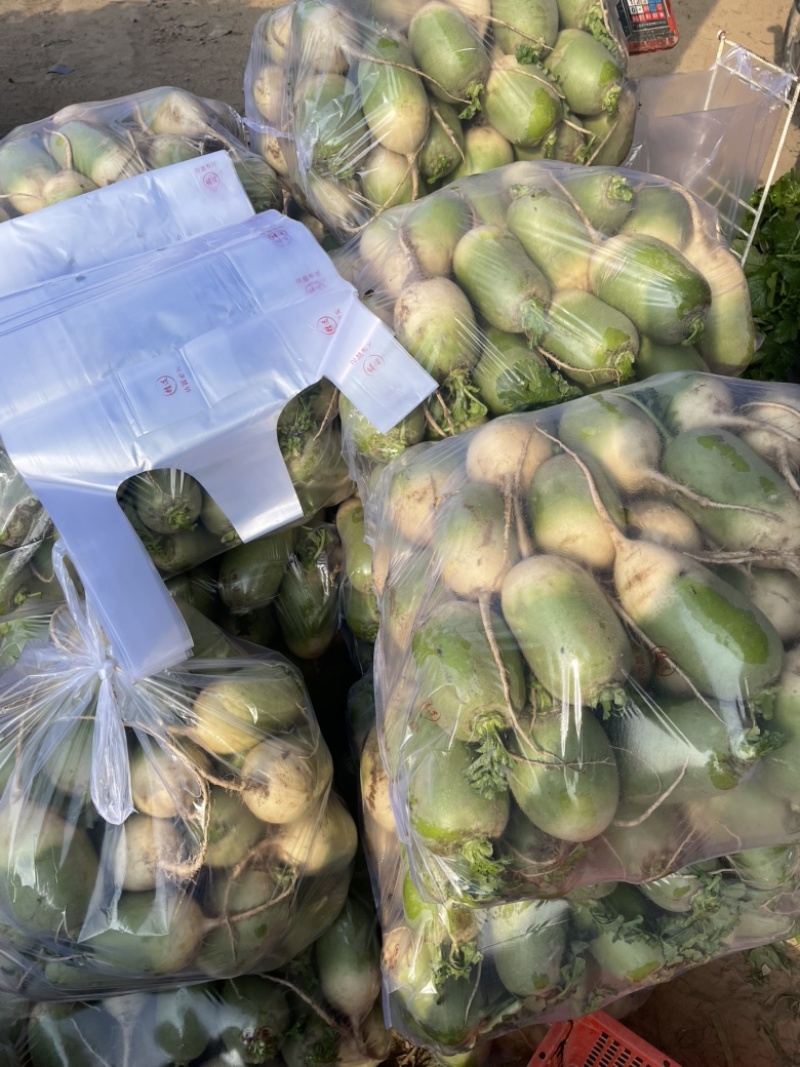 开封精品沙地青萝卜产地直发大吨位供应欢迎联系