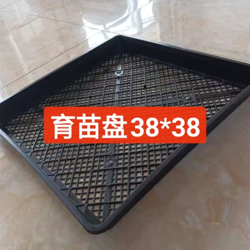 佛甲草矮麦冬育苗框种菜育苗盘收纳搬运整理框芽菜穴盘叶插育