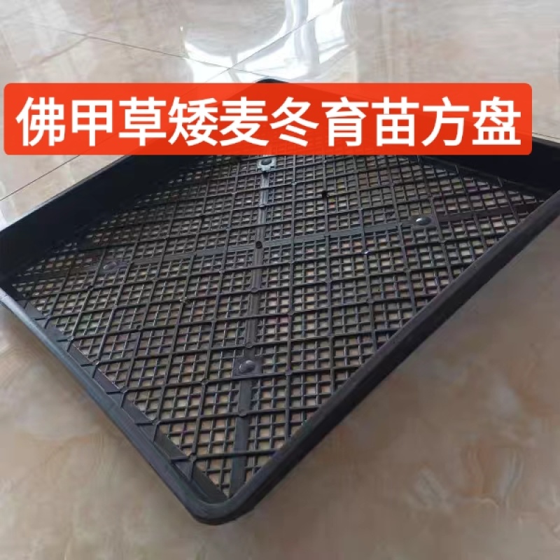 佛甲草矮麦冬育苗框种菜育苗盘收纳搬运整理框芽菜穴盘叶插育
