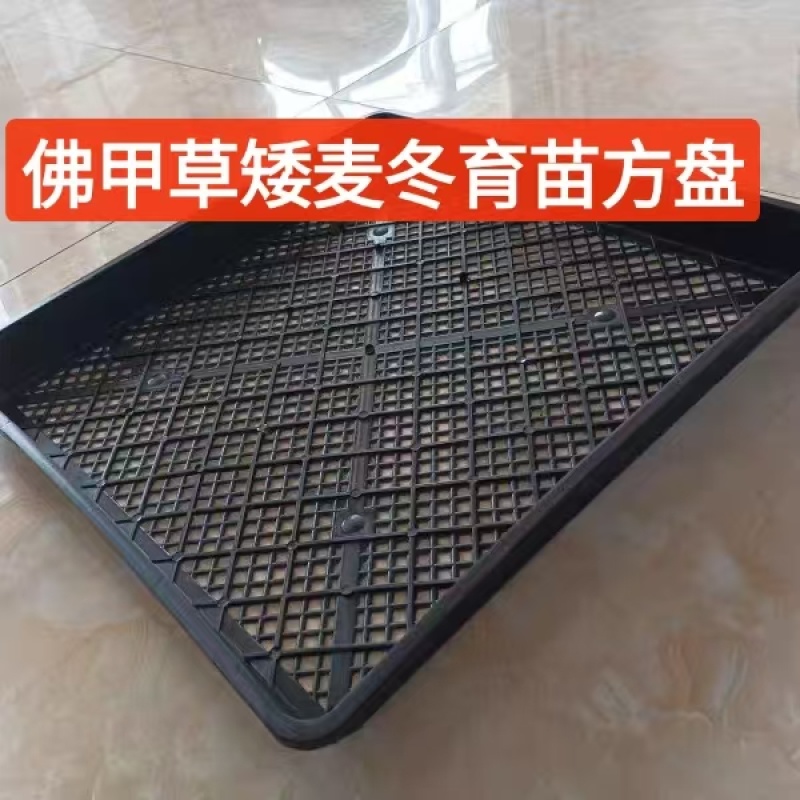 佛甲草矮麦冬育苗框种菜育苗盘收纳搬运整理框芽菜穴盘叶插育