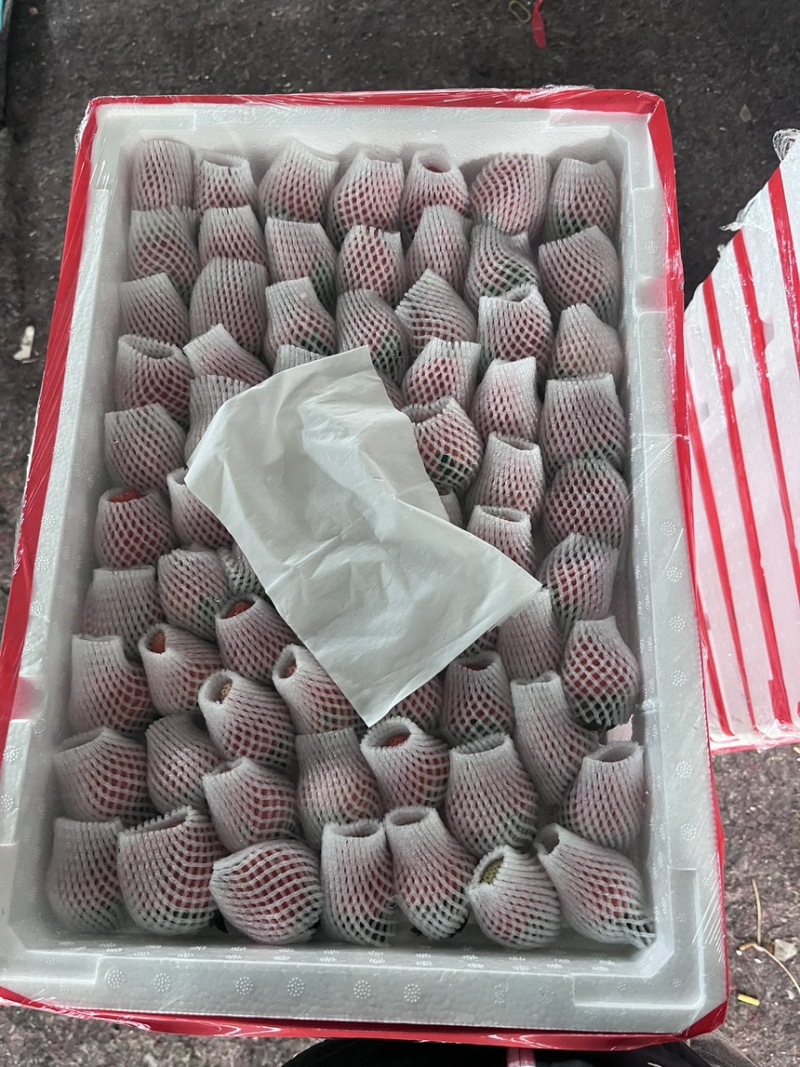 草莓产地已上量，价格实惠，欢迎各界大佬采购