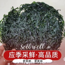 免洗烘干海带丝圆饼烘干海带丝圈圈丝