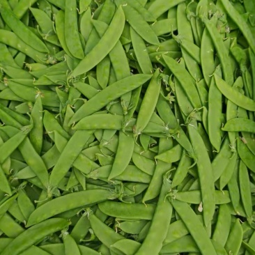 荷兰豆