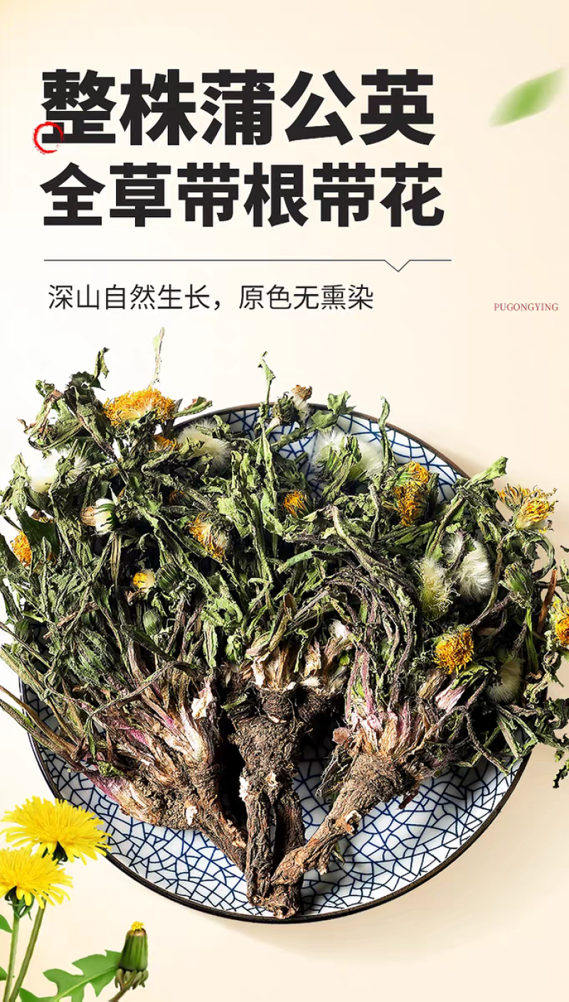 包邮）中药材蒲公英500克野生正品婆婆丁新鲜蒲公英干货