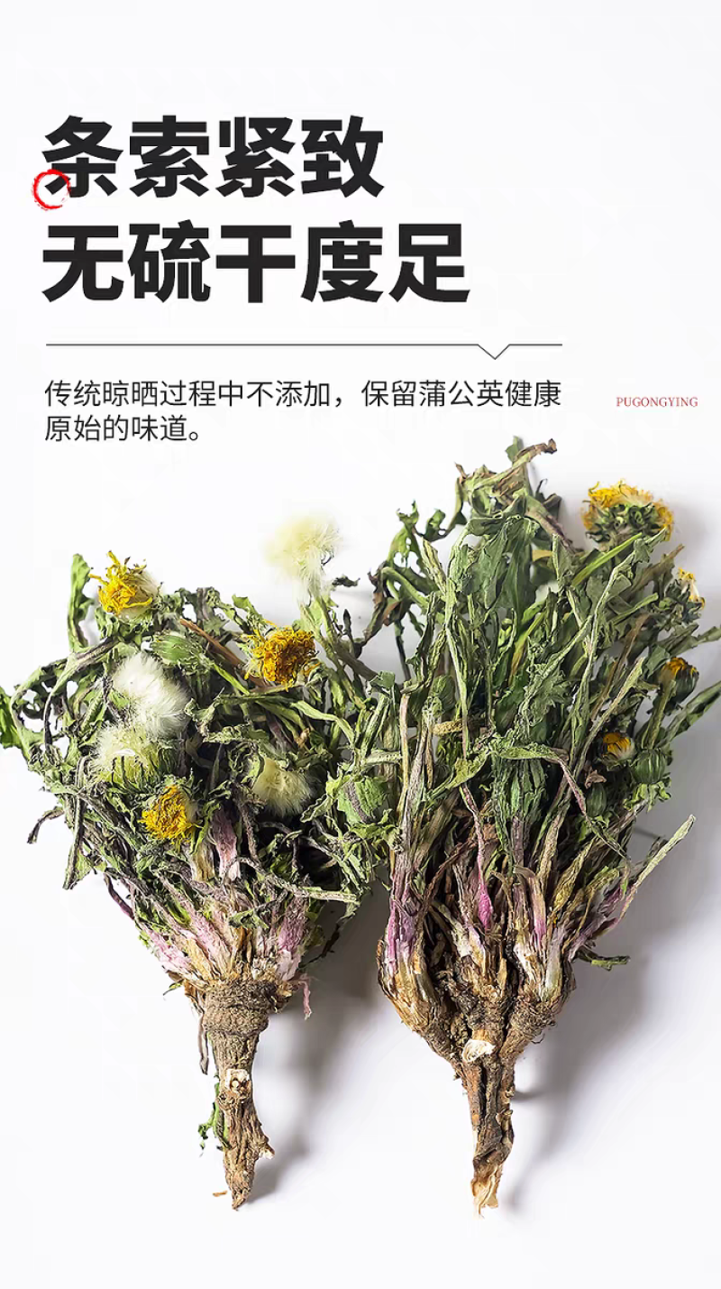 包邮）中药材蒲公英500克野生正品婆婆丁新鲜蒲公英干货