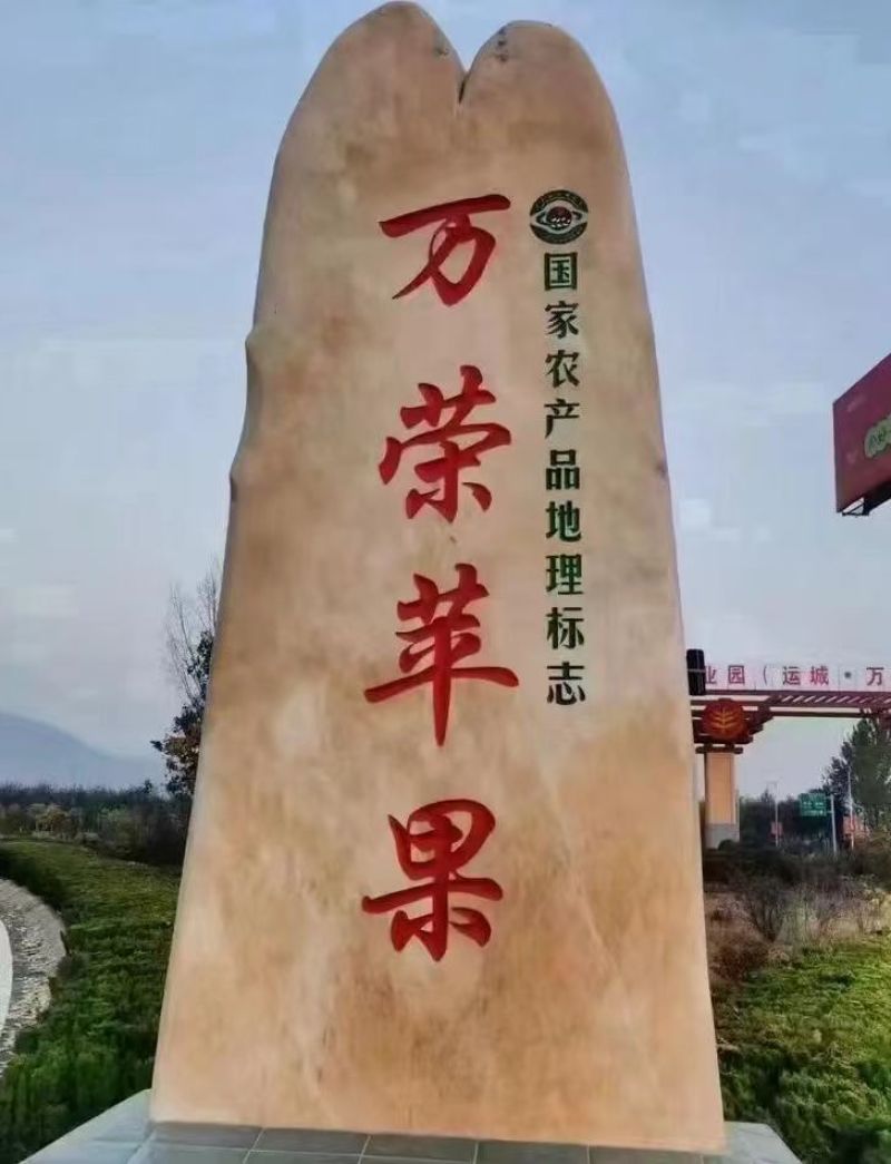 万荣黄土高坡红富士冰糖心苹果成熟了，一件5斤代发！