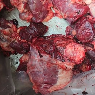 牛肉赘头
