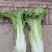 青麻叶大白菜五叶齐大葱产地直发