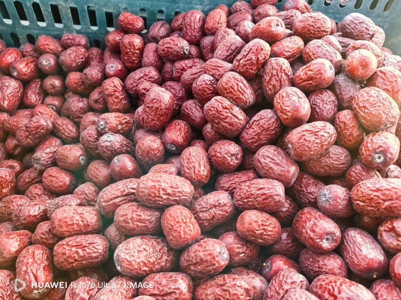 灰枣裂口产地直发烈口红烈黑烈一条烈发货及时