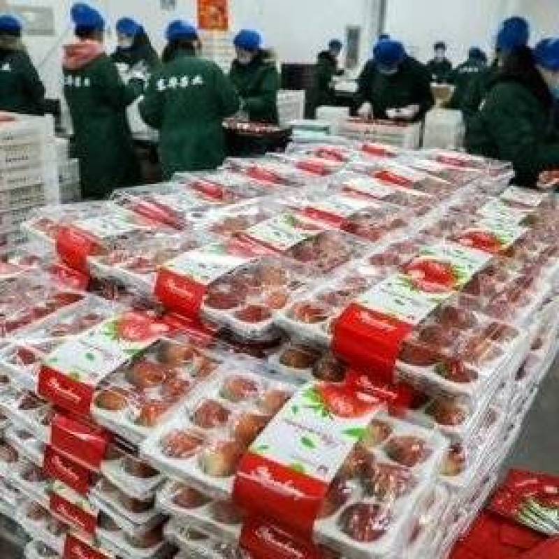 丹东草莓红颜草莓久久草莓电商一件代发